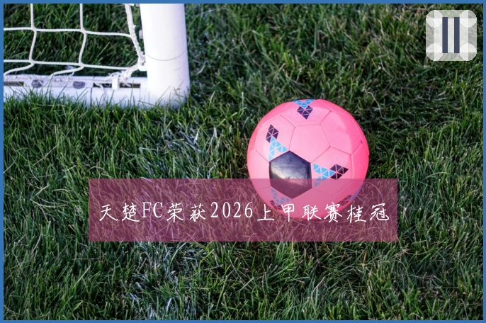 天楚FC荣获2026上甲联赛桂冠
